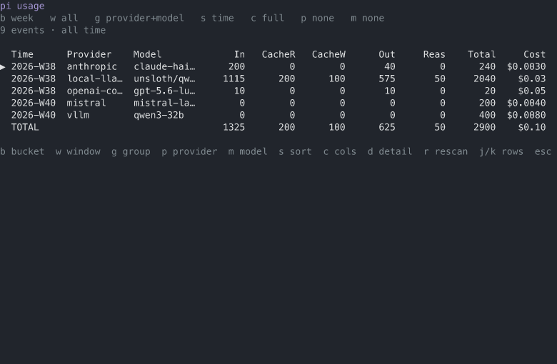 usage TUI